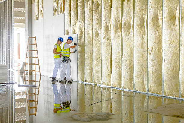 Best Insulation Air Sealing  in Palo, IA